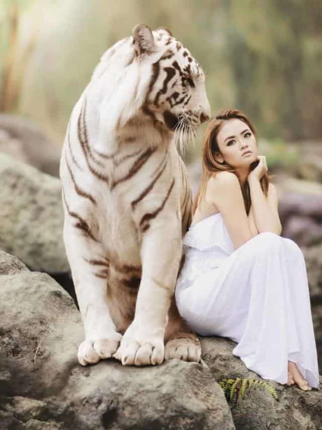 If You Want to be Wealthy, Choose Your Friends Carefully story