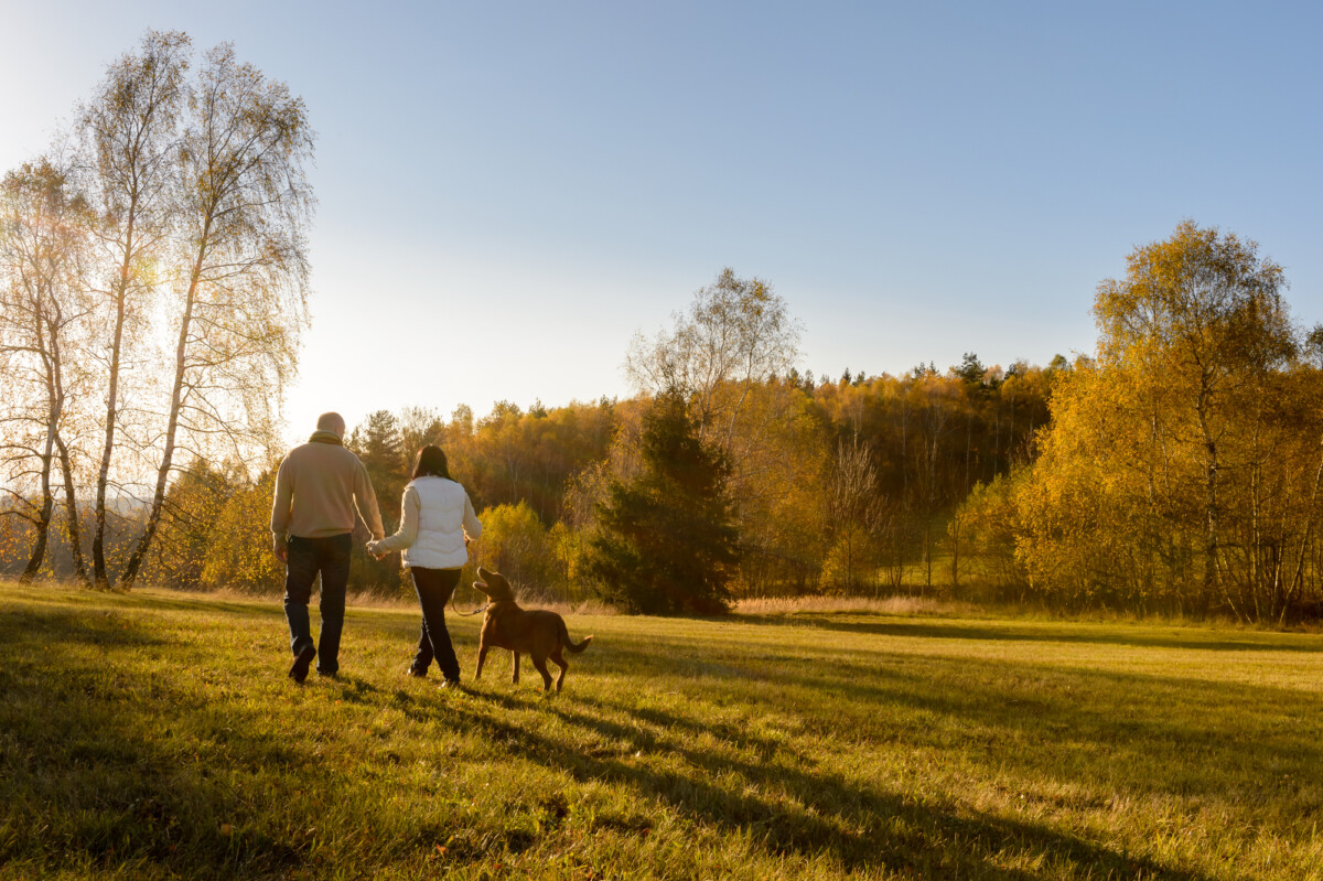 A couple holding hands while walking with their dog in a serene, sunlit autumn landscape.