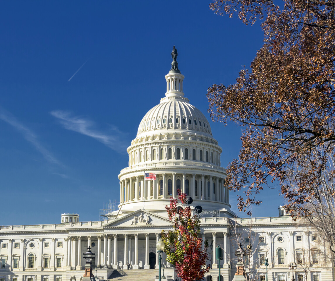 The united states capitol building basked in sunshine against a blue sky with wispy clouds, flanked by an autumn-colored tree.