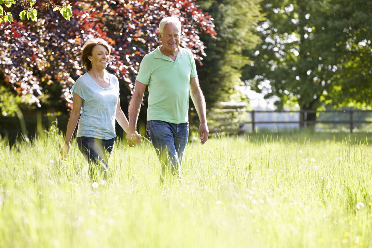 A happy senior couple holding hands and walking through a sunny, grassy park surrounded by lush trees.