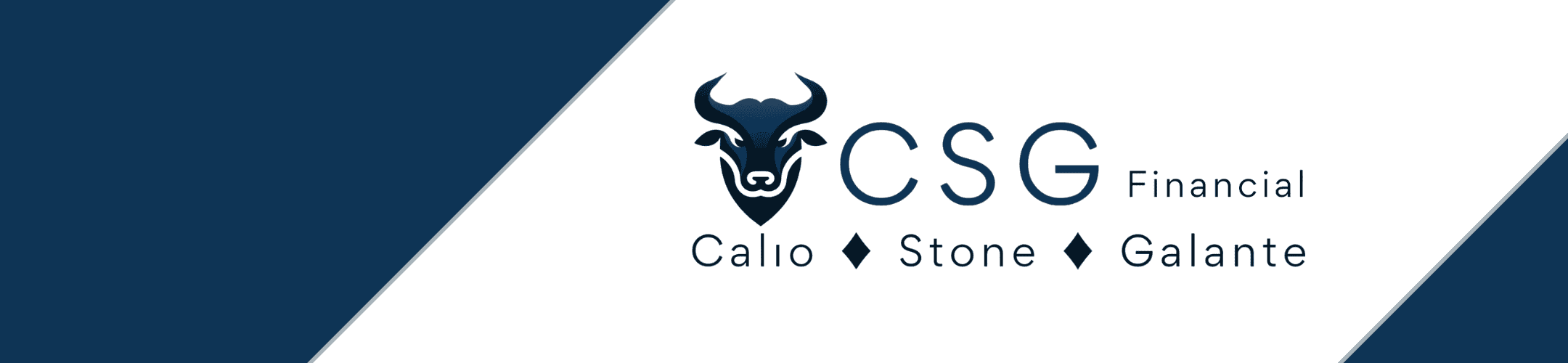 Logo for CSG Financial featuring a stylized bull's head. The text reads 