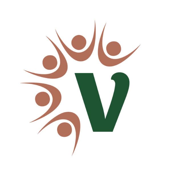 Logo of Village Financial Services